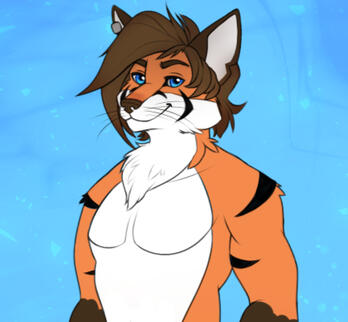 Checker Fox Ref Sheet