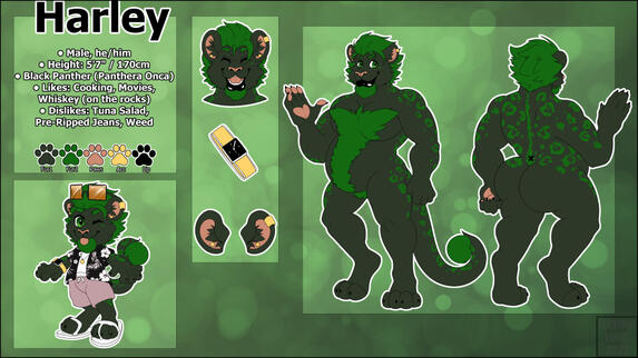 HalcyonHeartbeat Ref Sheet